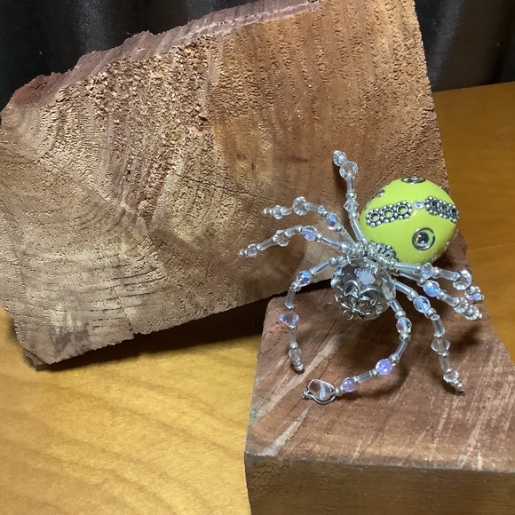 Spider - Picture 5 of 5